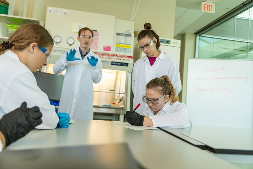 Students collaborate to perform calculations needed to determine treatment parameters for an experiment to observe the effects of caffeine on cardiomyocytes.