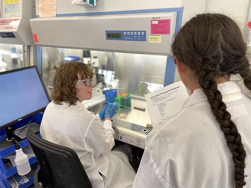 Two students at a lab hood review the cell culture protocol and get ready for hands-on practice with their cultured cells.