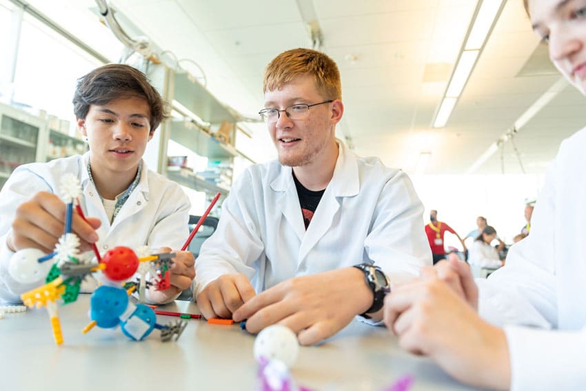 Camp participants use modeling toys to engineer their own CAR T-cell structures.