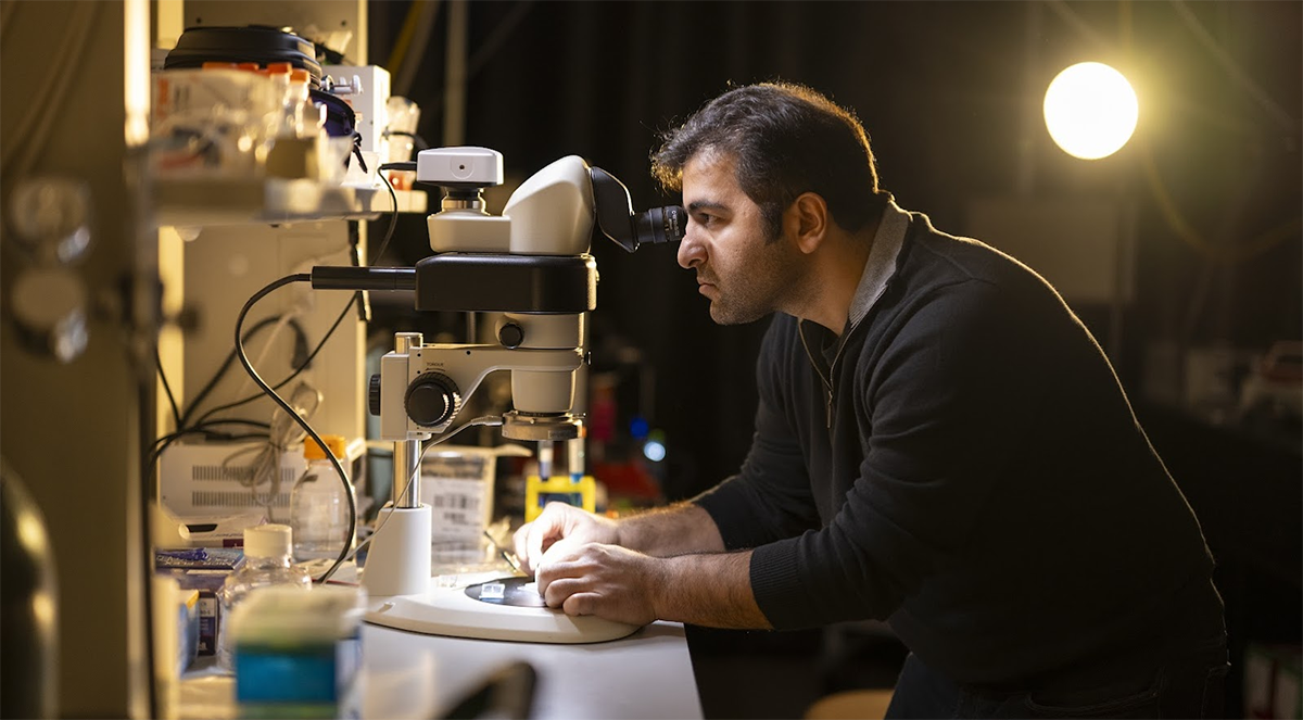 Scientist at a microscope