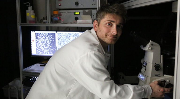 Rising Sparks: Christian Tentellino, biomedical imaging