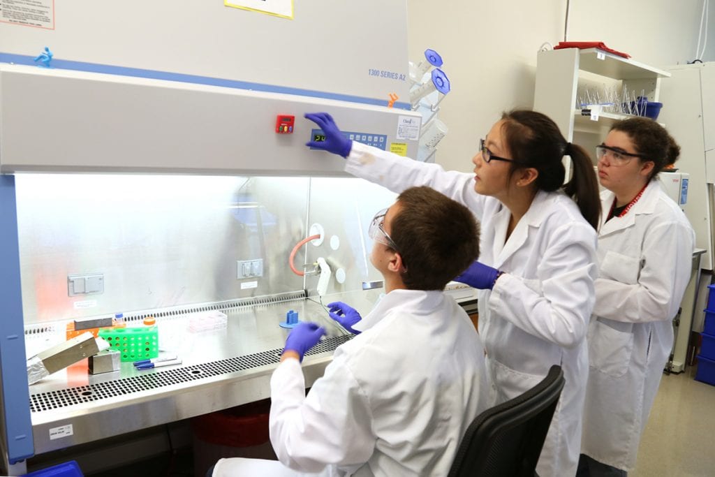 Dane Tiedman (left) is a junior at Benton High School who especially liked the lab activities. “The stem cell passaging was my favorite part,” Tiedman says. “If I could come back again, I would—it was awesome.” 