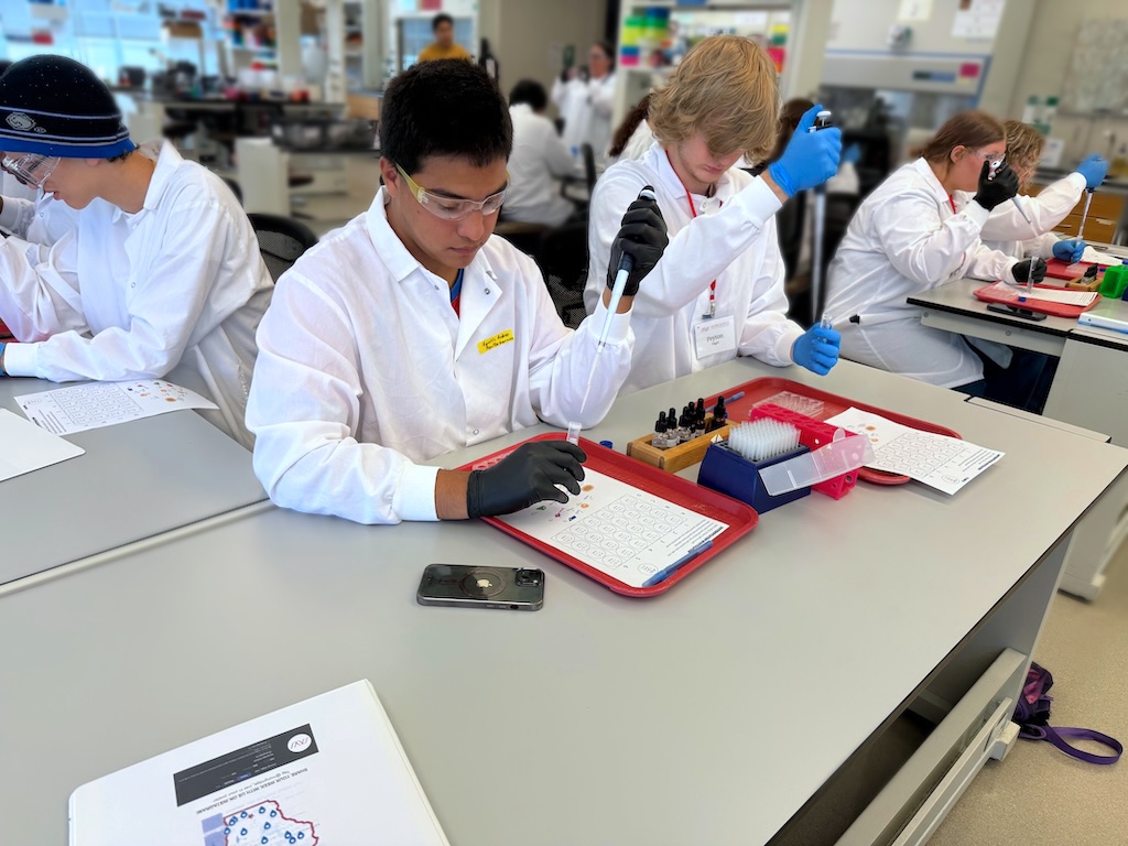 Students practice using lab tools while learning how stem cells differentiate into specialized tissues.