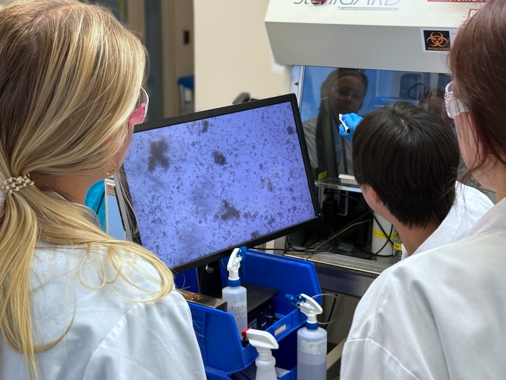 In the Morgridge Institute teaching labs, campers tested cardiac drugs on human heart cells to explore how medicines impact cell function.