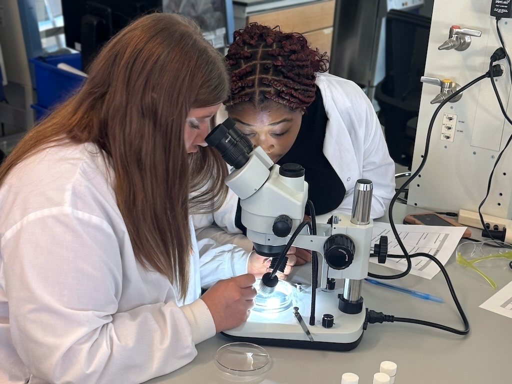 Students observe fruit flies and discuss genetic mutations and what it teaches us about human disease.