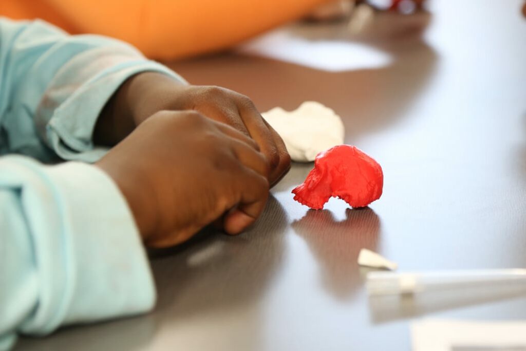 A 3D printed skull used for an activity on anthropology at the Oct. 6 Afterschool Expeditions, held at the UW South Madison Partnership.