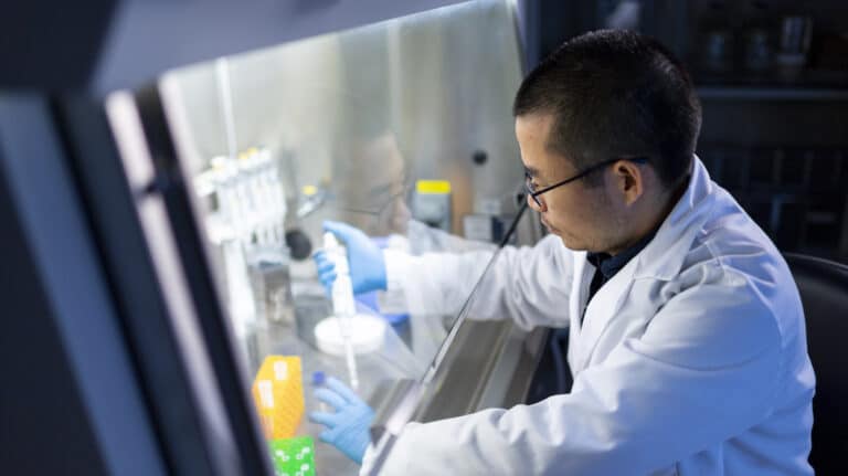 Imaging method predicts how well stem cells can differentiate into cardiac muscle cells