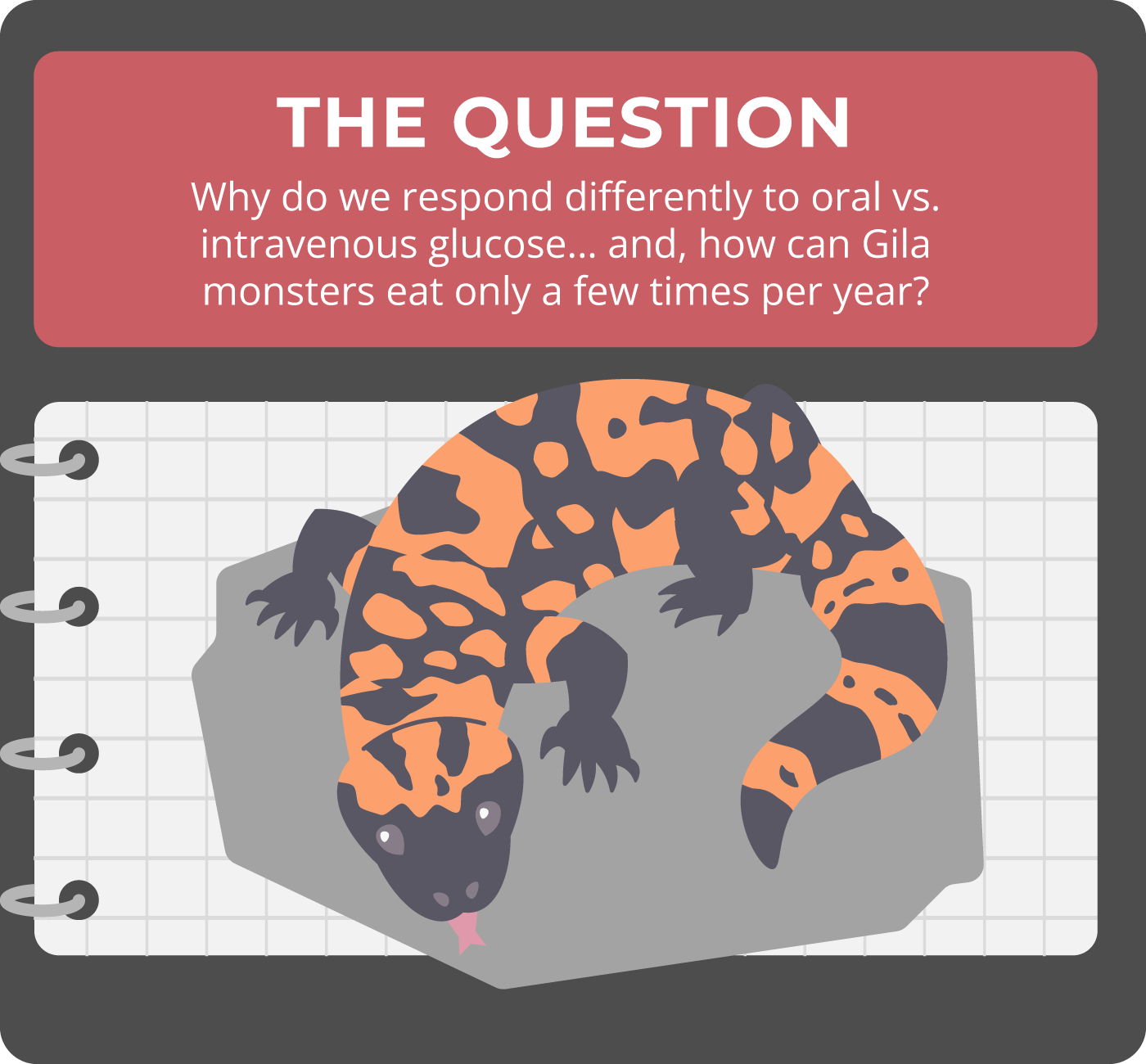 Why do we respond differently to oral vs. intravenous glucose... and, how can Gila monsters eat only a few times per year?