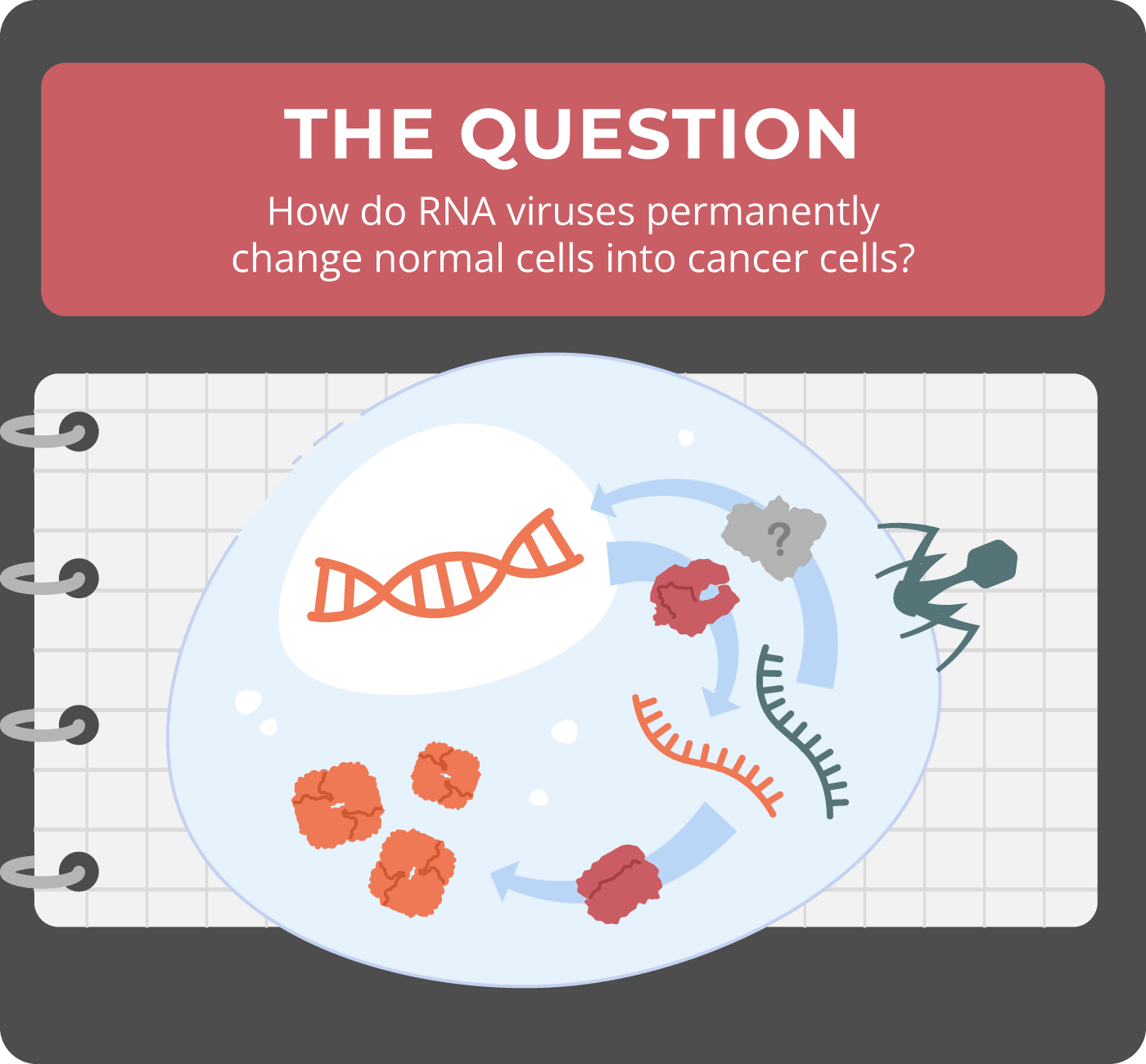 How do RNA viruses permanently change normal cells into cancer cells?