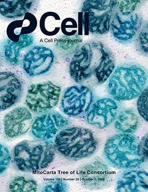 Cell cover