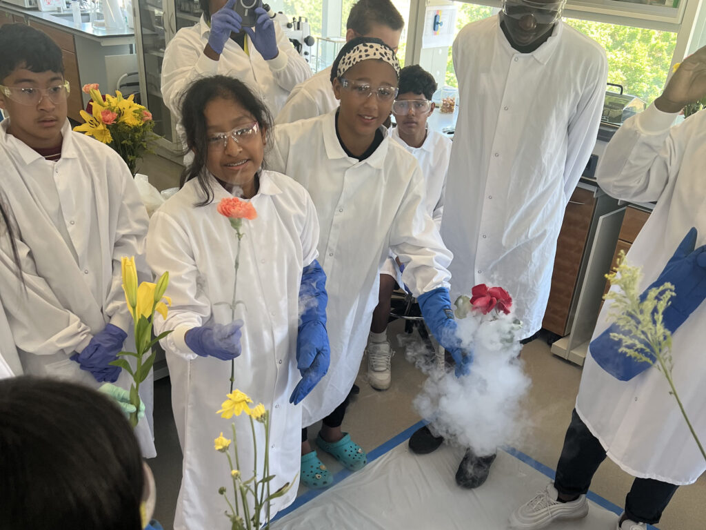 What happens when you cryogenically freeze a flower? Students experiment with and observe the properties of liquid nitrogen.