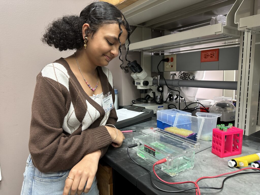 Gel electrophoresis is a method used in molecular biology to estimate the size of DNA or RNA fragments that are separated by an electrical charge.