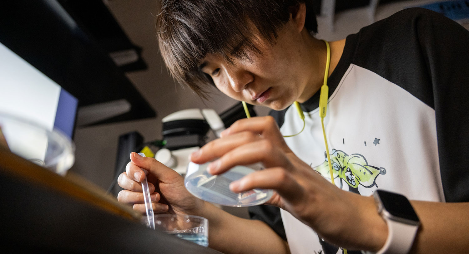 Scientist with a zebrafish