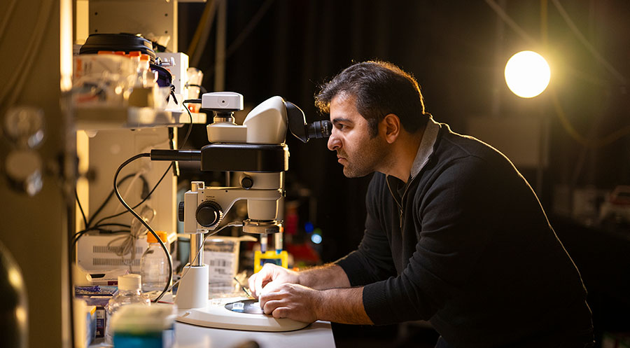 Kayvan Samimi