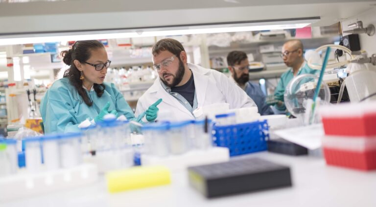 Bioengineered arteries show promise for cardiovascular surgery