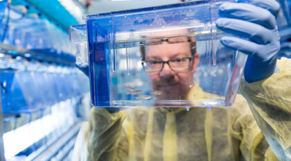 Model organisms: Peculiar creatures, big discoveries