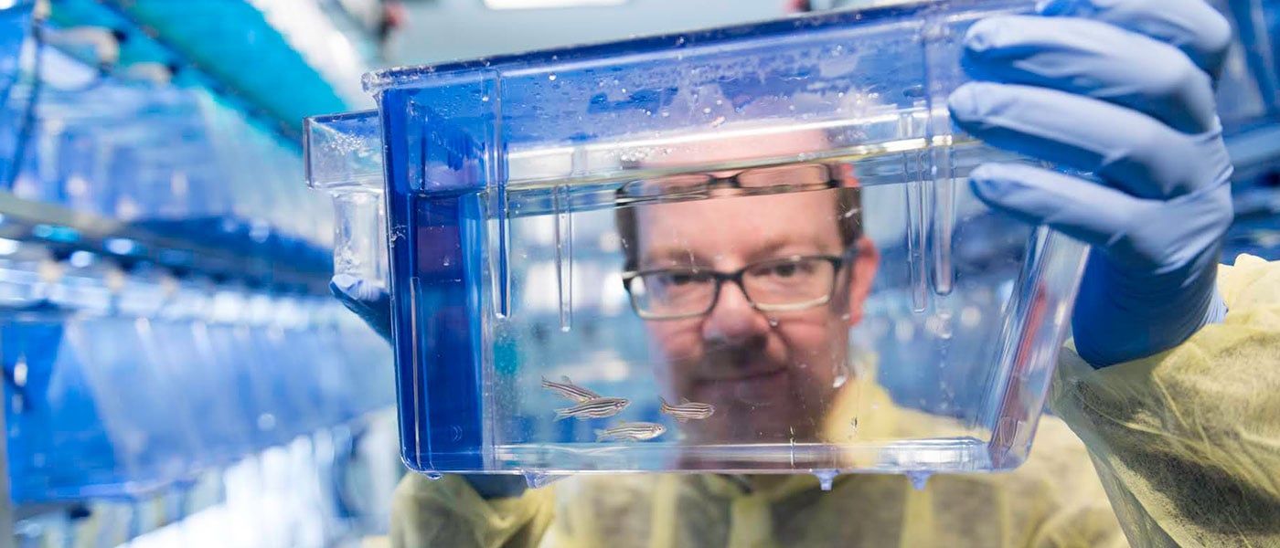 Model organisms: Peculiar creatures, big discoveries