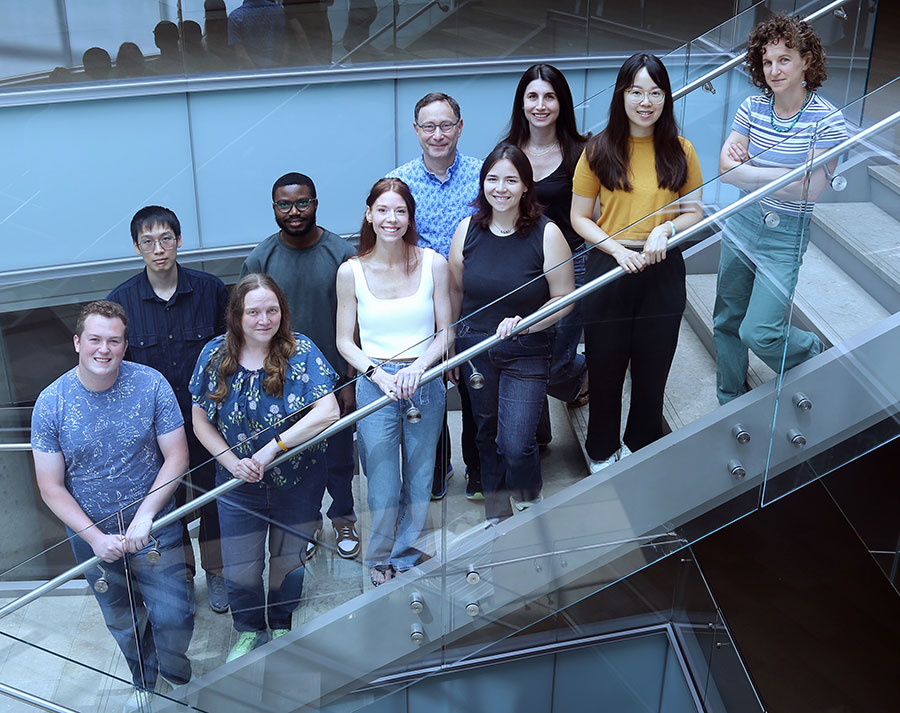 Newmark/Issigonis Lab