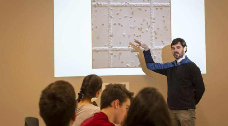 Rising Sparks: Peter Favreau, biomedical imaging alum