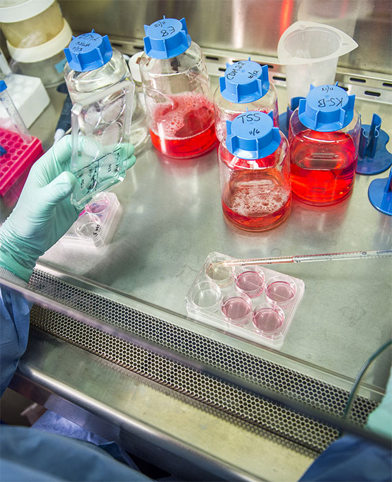 Close up of Scientists with equipment