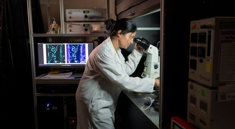 Rising Sparks: Rupsa Datta, biomedical imaging