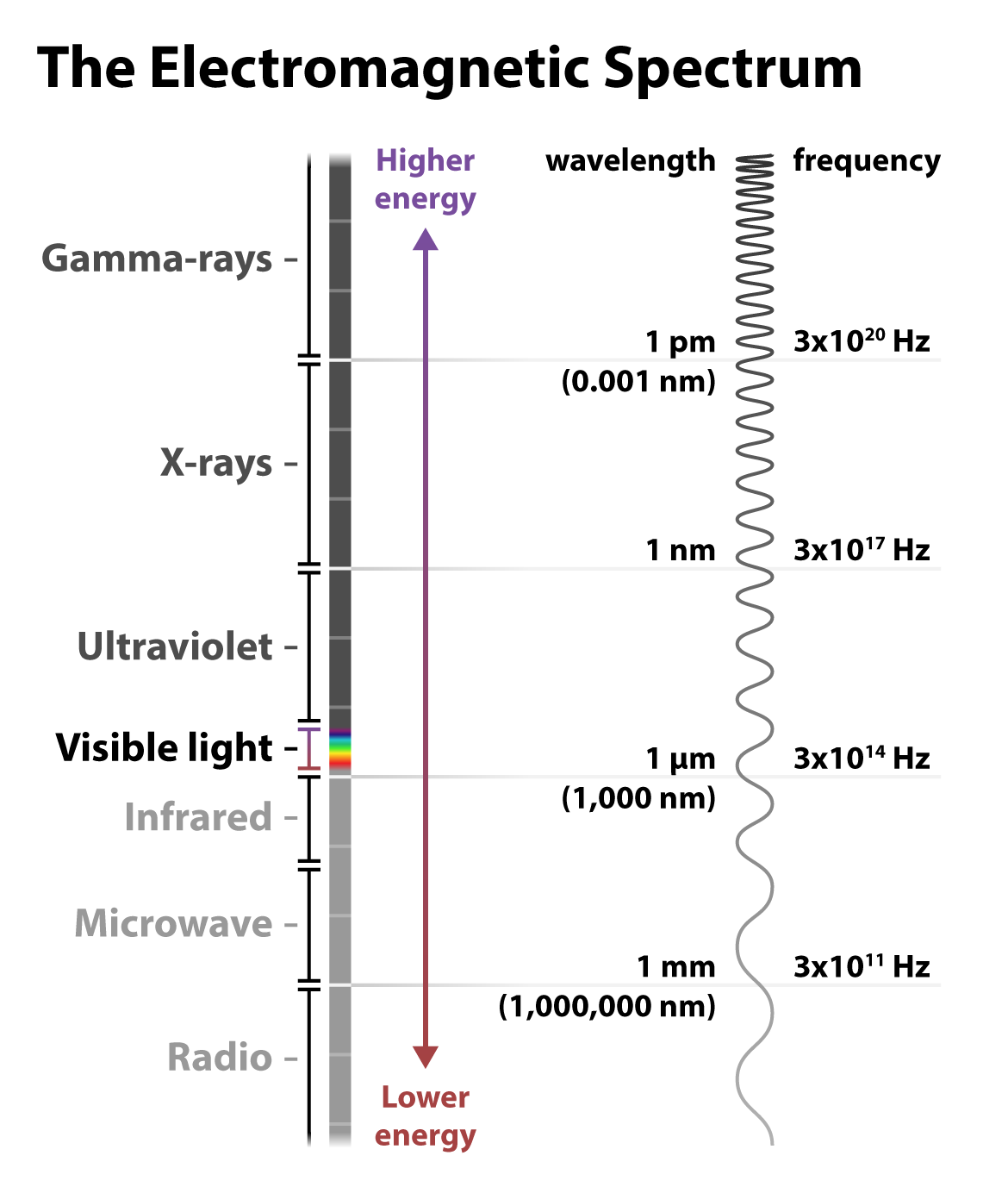 Electromagnetic Spectrum