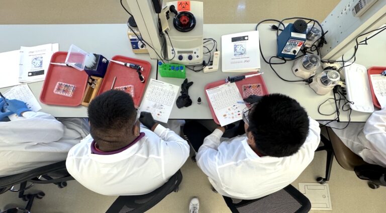 Students envision their own futures in STEM at Summer Science Camp