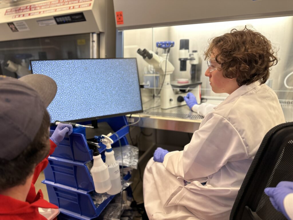 A student views a cell culture sample under a microscope. As cells multiply and divide, they need to be passaged (or transferred) into new flasks or plates to create more space for continued growth.