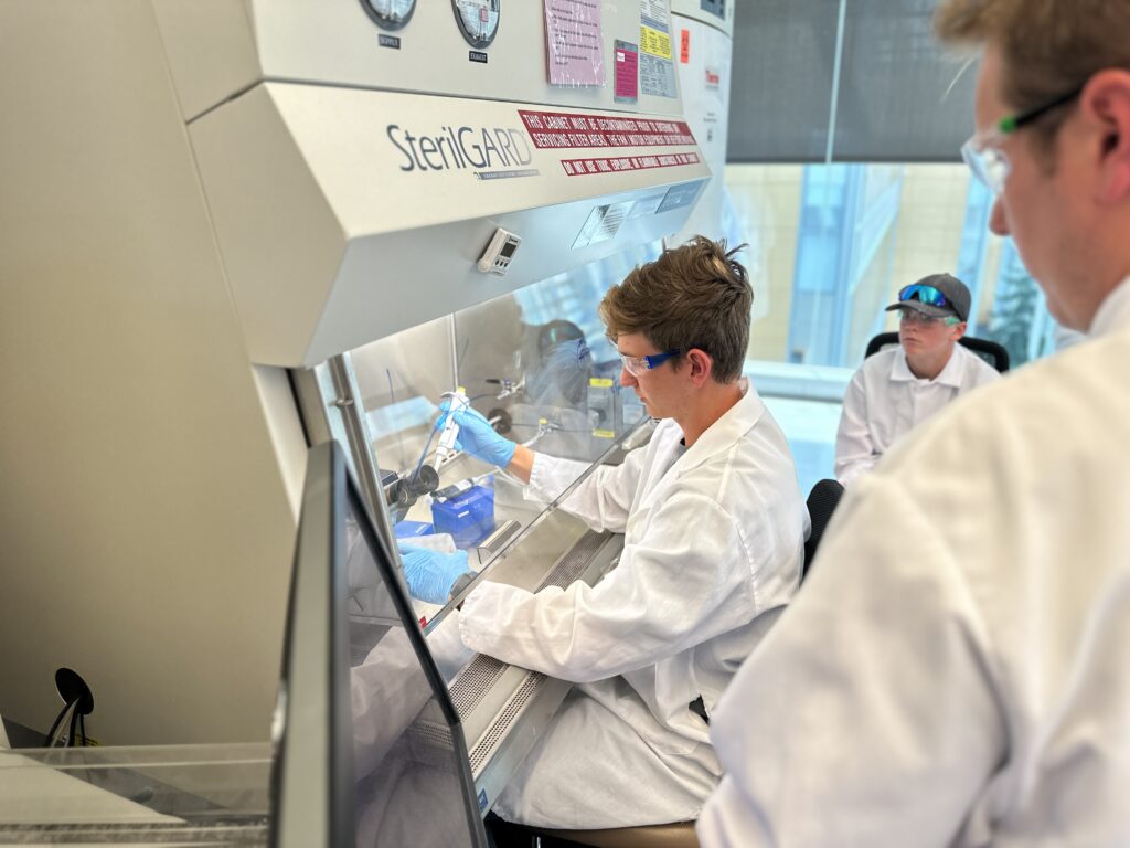 A student prepares a cell culture sample in a biosafety cabinet hood.